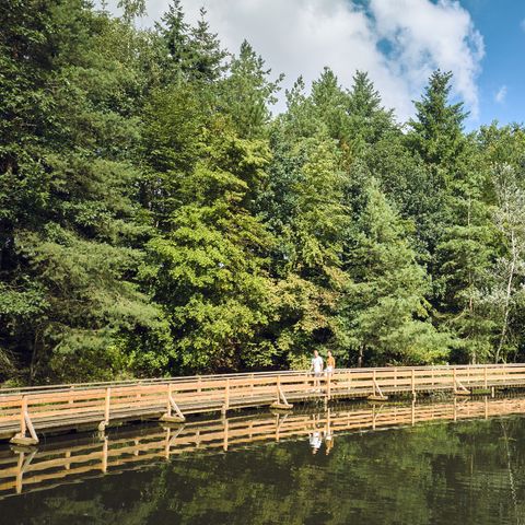 Center Parcs Bispinger Heide - Nedersaksen - Afbeelding N°6