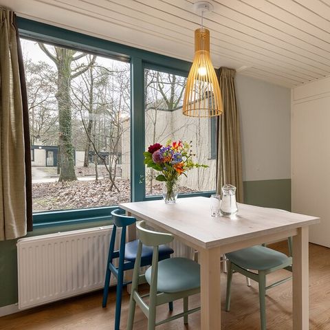 Bungalow 4 personen - Premium Honden HB1927