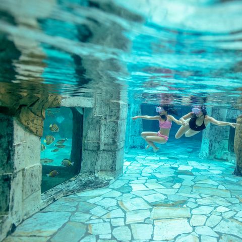 Center Parcs Het Heijderbos - Gennep - Afbeelding N°4