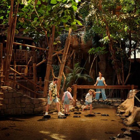 Center Parcs De Vossemeren - Belgisch Limburg - Afbeelding N°5