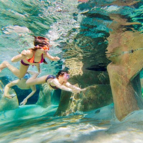 Center Parcs De Vossemeren - Belgisch Limburg - Afbeelding N°6