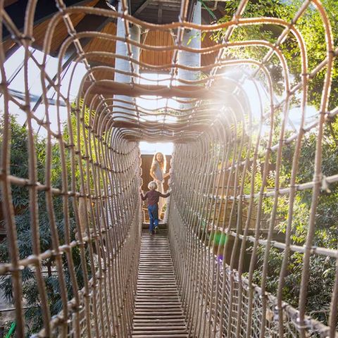 Center Parcs De Vossemeren - Belgisch Limburg - Afbeelding N°4