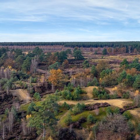 Center Parcs Park Erperheide - Belgisch Limburg - Afbeelding N°5