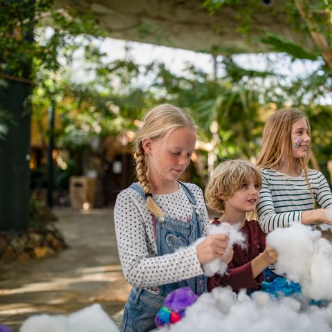 Center Parcs Park Erperheide - Belgisch Limburg - Afbeelding N°6