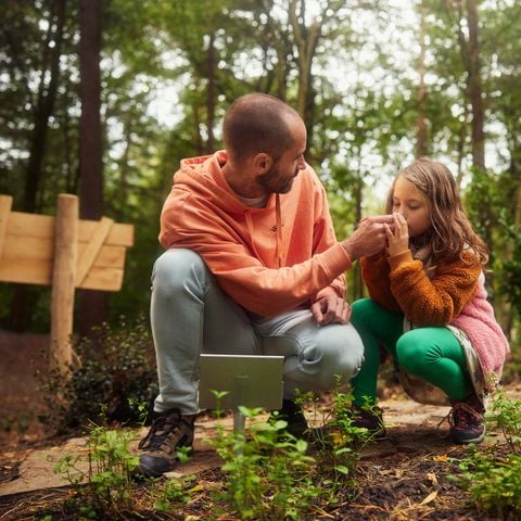 Center Parcs Park Erperheide - Belgisch Limburg - Afbeelding N°3
