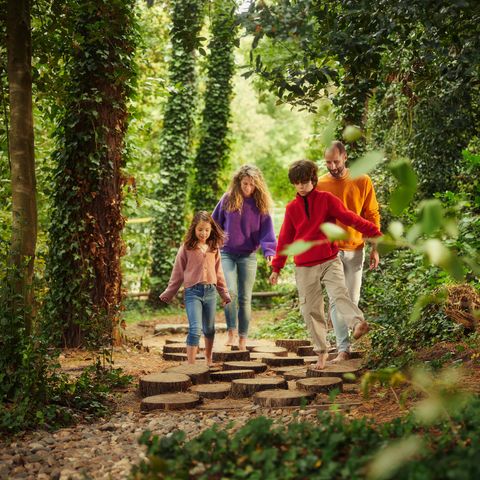 Center Parcs Park Erperheide - Belgisch Limburg - Afbeelding N°5