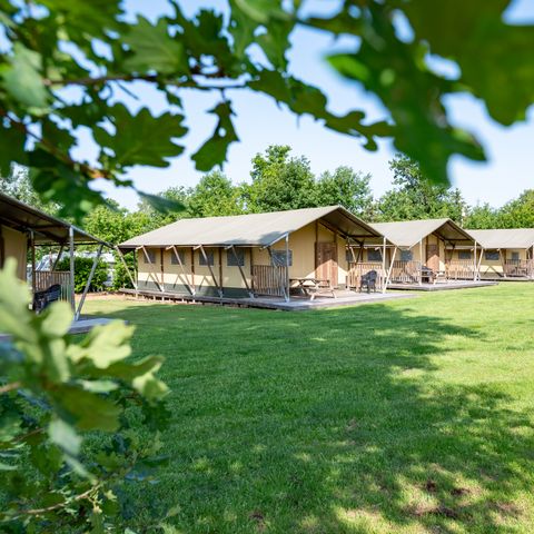 Tent 6 personen - Woodlodge