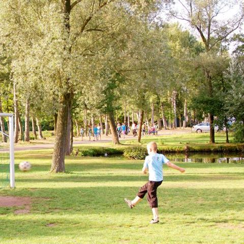 Oostappen park Parelstrand - Camping Belgisch Limburg - Afbeelding N°3