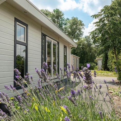 Vakantiehuis 4 personen - Hackfort