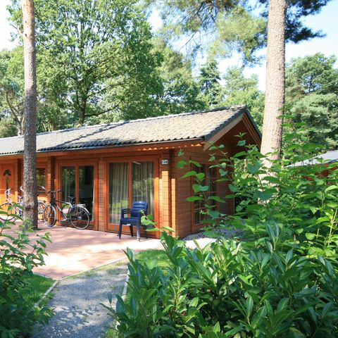 Chalet 4 personen - Boekhorst