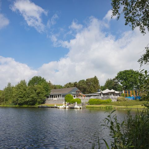 Landal Bospark 't Wolfsven - Geldrop Mierlo - Afbeelding N°5