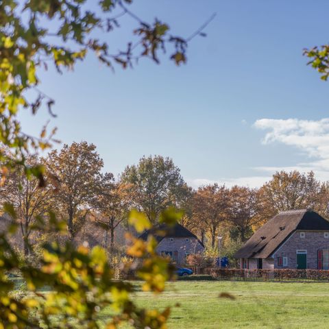 Bungalow 6 personen - Luxe Vakantieboerderij