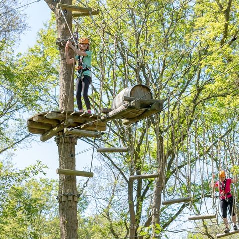 Villapark De Weerribben - Steenwijkerland - Afbeelding N°3
