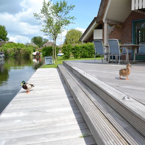 Waterpark Belterwiede - Steenwijkerland - Afbeelding N°3