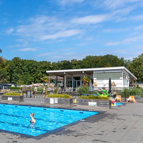 Molecaten Park Waterbos - Westvoorne - Afbeelding N°2