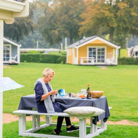 Molecaten Park Waterbos - Westvoorne - Afbeelding N°4