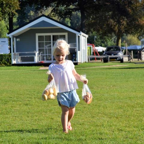 Molecaten Park Waterbos - Westvoorne - Afbeelding N°6