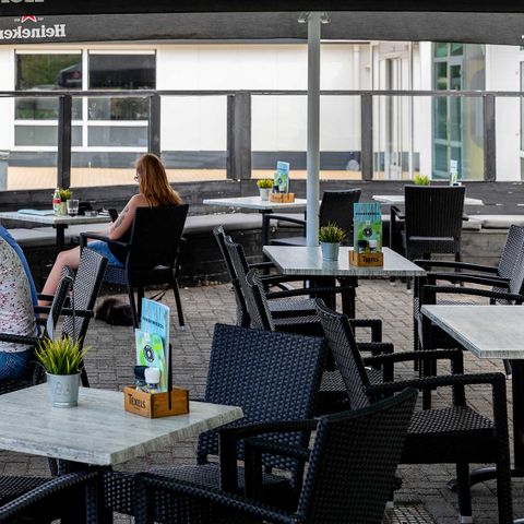 Molecaten Park Rondeweibos - Westvoorne - Afbeelding N°6