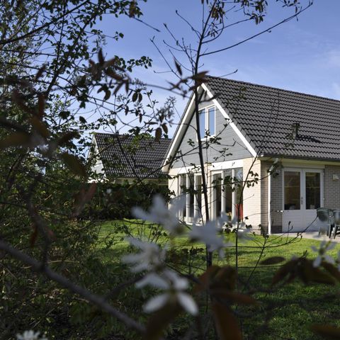 Bungalow 8 personen - Esdoorn