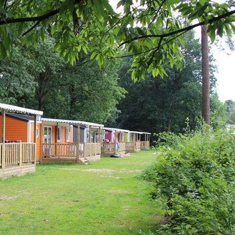 Chalet 6 personen - Lupine