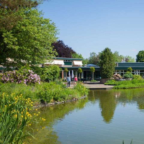 Molecaten Park Landgoed Ginkelduin - Camping Utrechtse Heuvelrug - Afbeelding N°6