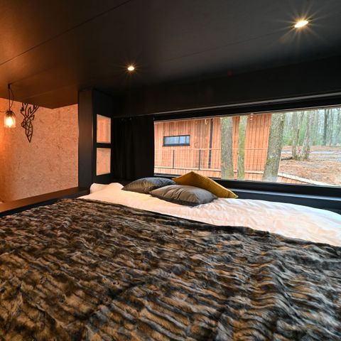 Chalet 4 personen - Forest Cube Reconnect