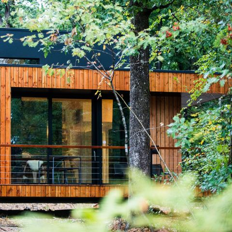 Chalet 4 personen - Forest Cube Reconnect