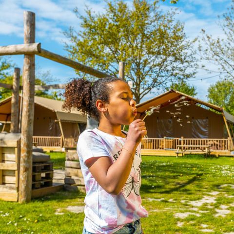 tent 5 personen - tent Glamping Desert