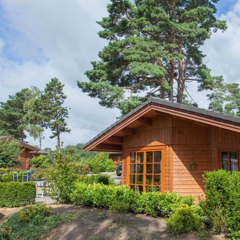 Chalet 6 personen - Boekhorst Royal 6
