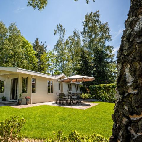 Chalet 6 personen - Hackfort 6