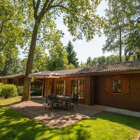 Chalet 6 personen - Boekhorst 6