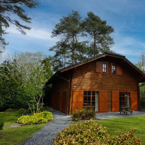 Chalet 12 personen - Boekhorst l'etage 12
