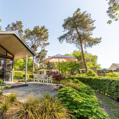 VAKANTIEHUIS 4 personen - Tiny House 4