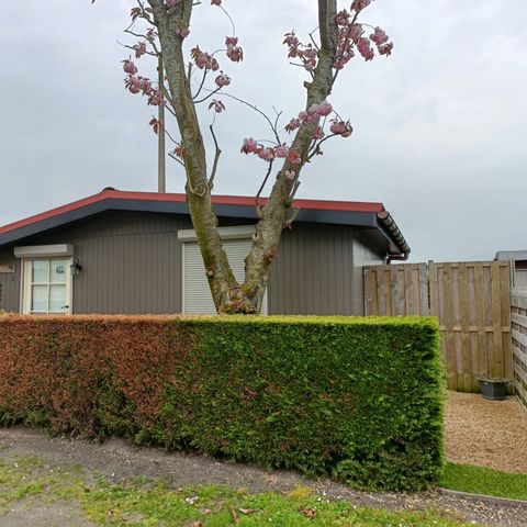 Chalet 5 personen - Luxe Houten Chalet