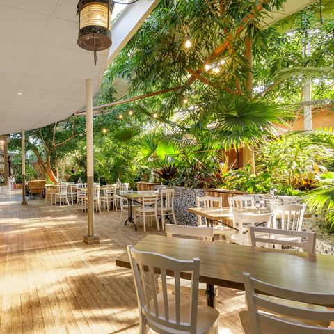 Center Parcs Limburgse Peel - Horst an der Maas - Afbeelding N°3
