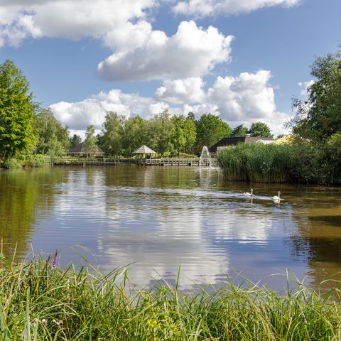 Center Parcs Limburgse Peel - Horst an der Maas - Afbeelding N°6
