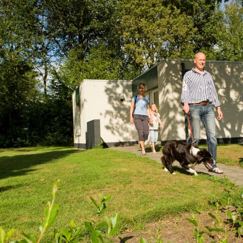 Bungalow 4 personen - H4A Comfort