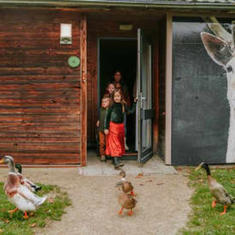 Bungalow 6 personen - Kidsbungalow Damhert incl. Sauna