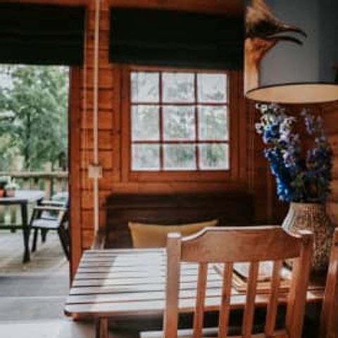 VAKANTIEHUIS 4 personen - Boomhut Koekoek incl. entree Safaripark Beekse Bergen