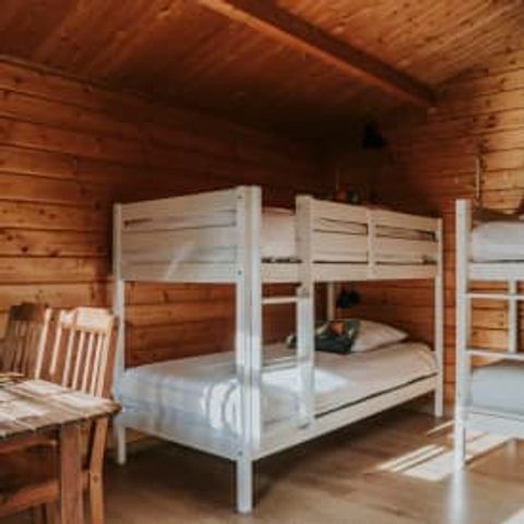 VAKANTIEHUIS 4 personen - Boomhut Koekoek incl. entree Safaripark Beekse Bergen