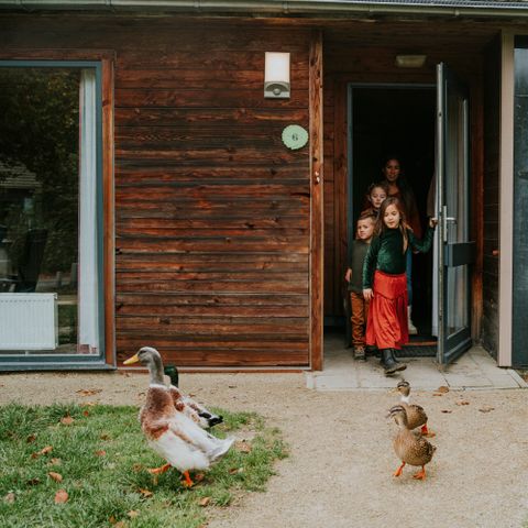 Bungalow 6 personen - Damhert Sauna & Hottub