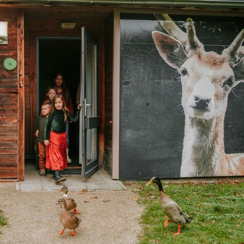 Bungalow 6 personen - Kidsbungalow Damhert incl. Sauna & Hottub