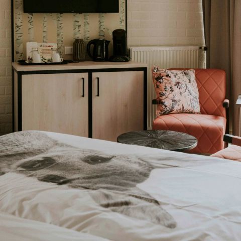 Studio 2 personen - Kamer Vlinder