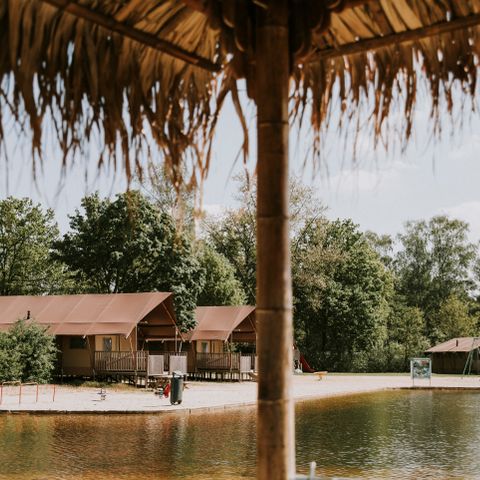 Vakantiepark Dierenbos - Camping Meierijstad - Afbeelding N°5