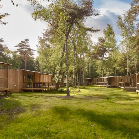 Chalet 5 personen - Forest Cabin