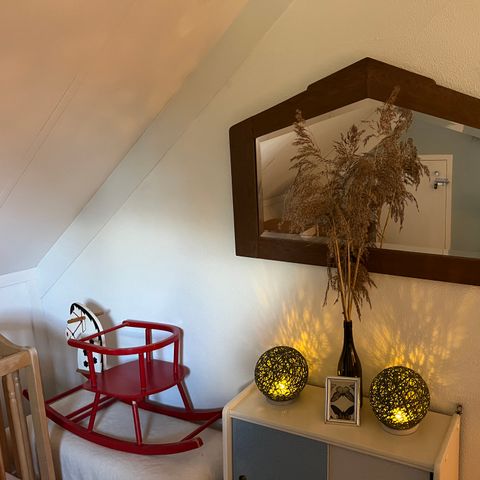 Bungalow 6 personen - De Zingende Wilg