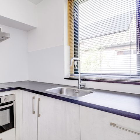 Bungalow 5 personen - Forest 239 Sauna