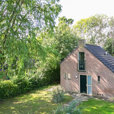 Bungalow 6 personen - Forest 209