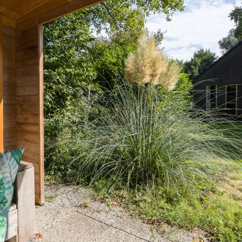 Bungalow 6 personen - Forest 209