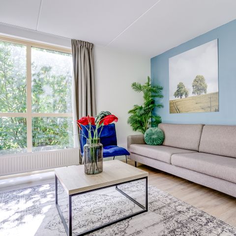 Bungalow 6 personen - Forest 231